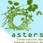 logo-asters_w_280
