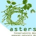 logo-asters_w_280
